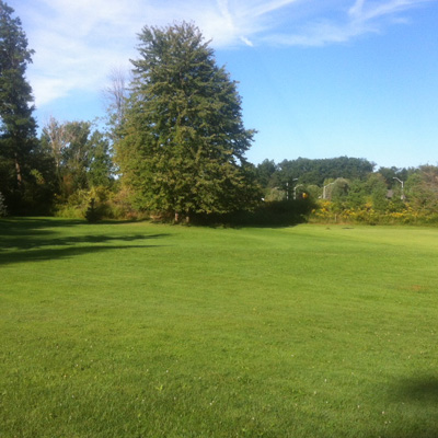 lawn